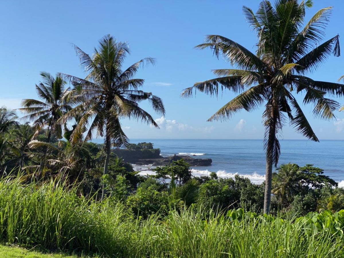 Balian Prana Hotel Selemadeg  Eksteriør billede