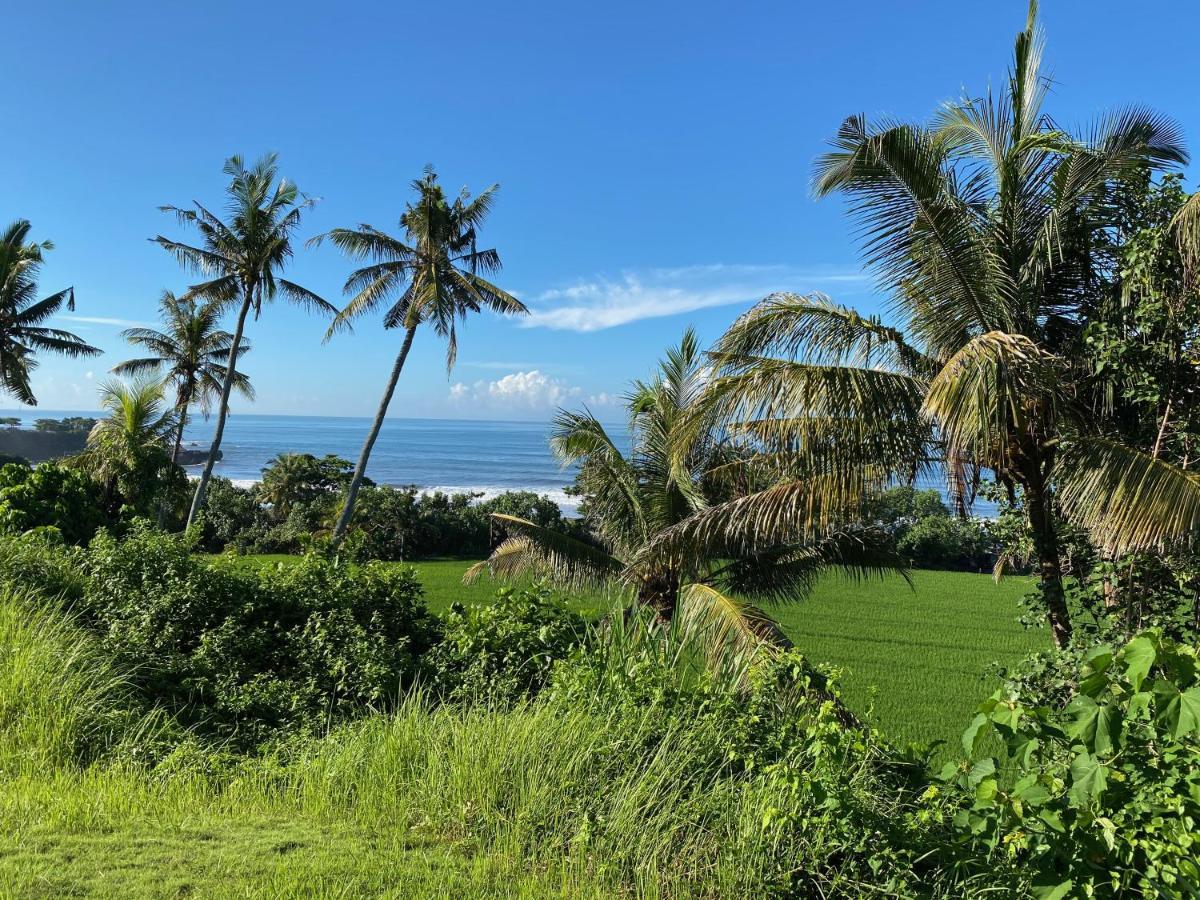 Balian Prana Hotel Selemadeg  Eksteriør billede