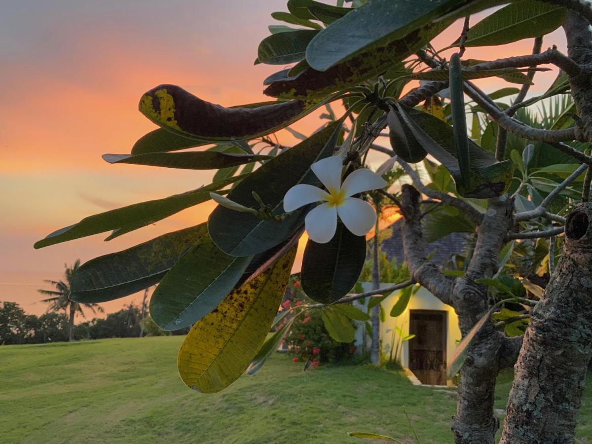 Balian Prana Hotel Selemadeg  Eksteriør billede